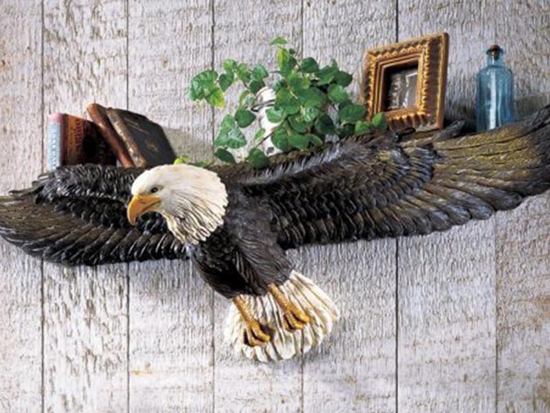 bald eagle shelf