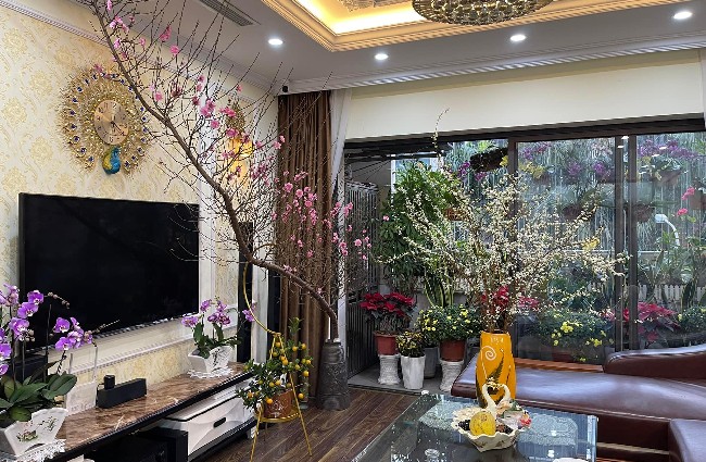 hoa chưng phòng khách ngày tết